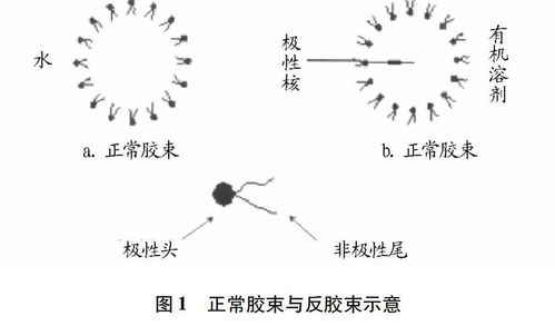 反膠束水合萃取技術(shù)在生物工程領(lǐng)域的研究進展